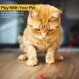 3 Pcs Funny Interactive Toys for Indoor Cat and Dog, Yousaray Cat Wand Toy for Pet Training to Keep Kitty Busy