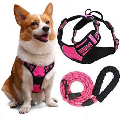 YIMEIS Dog Harness and 5 FT Leash Set, No Pull Adjustable Pet Harness with Easy Control Handle, Reflective Oxford Dog Vest for Medium Dogs Walking Training (M, Pink)