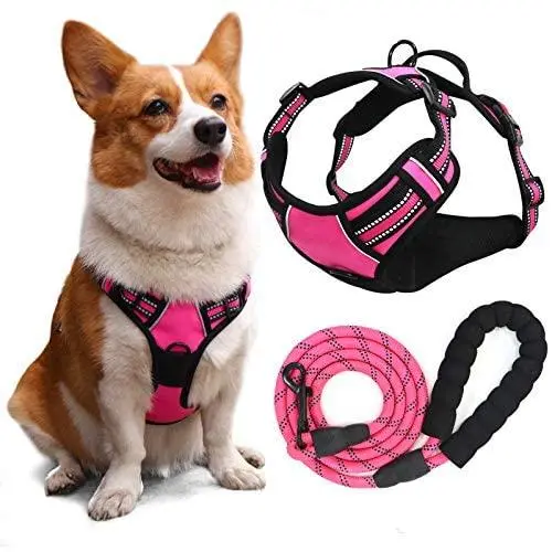 YIMEIS Dog Harness and 5 FT Leash Set, No Pull Adjustable Pet Harness with Easy Control Handle, Reflective Oxford Dog Vest for Medium Dogs Walking Training (M, Pink) YIMEIS Dog Harness and 5 FT Leash Set, No Pull Adjustable Pet Harness with Easy Control Handle, Reflective Oxford Dog Vest for Medium Dogs Walking Training (M, Pink)