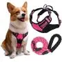 YIMEIS Dog Harness and 5 FT Leash Set, No Pull Adjustable Pet Harness with Easy Control Handle, Reflective Oxford Dog Vest for Medium Dogs Walking Training (M, Pink) YIMEIS Dog Harness and 5 FT Leash Set, No Pull Adjustable Pet Harness with Easy Control Handle, Reflective Oxford Dog Vest for Medium Dogs Walking Training (M, Pink)