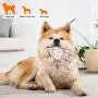 Dog Squeak Toys, Dog Toys, Chew Toy Pet Dog, Stuffed Toys for Dogs, Stuffing Squeaky Plush Dog Toy, Soft Shape Pet Toy, Dog Toys for Aggressive Chewers Medium Breed, Durable Dog Toy, Elephant Dog Squeak Toys, Dog Toys, Chew Toy Pet Dog, Stuffed Toys for Dogs, Stuffing Squeaky Plush Dog Toy, Soft Shape Pet Toy, Dog Toys for Aggressive Chewers Medium Breed, Durable Dog Toy, Elephant