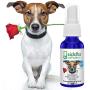 Siddha Remedies Calm Down for Pets | Natural Homeopathic Remedy Calms Dogs, Cats, Furry Pets | Naturally Calms Excitable, Restless Pets in Stormy Weather | Supports Stronger Health