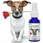 Siddha Remedies Calm Down for Pets | Natural Homeopathic Remedy Calms Dogs, Cats, Furry Pets | Naturally Calms Excitable, Restless Pets in Stormy Weather | Supports Stronger Health