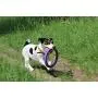 2 Puller Mini Interactive Dog Toy 7.5'' Rings, Purple, for Small Breed Dogs 2 Puller Mini Interactive Dog Toy 7.5'' Rings, Purple, for Small Breed Dogs