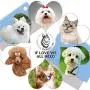 Dog Grooming Comb Pet Tear Stain Remover Gently Removes Mucus and Crust Small Lice Flea Combs for Dogs Cats Set of 2 Supplies Dog Grooming Comb Pet Tear Stain Remover Gently Removes Mucus and Crust Small Lice Flea Combs for Dogs Cats Set of 2 Supplies