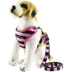 BroBear Pet Stripes Vest Mesh Harness and Leash Set with Rhinestones for Cats & Small Dogs