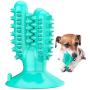 SHEROX Dog Health Toothbrush, Dog Dental Care Chew Toy, Oral Massager for Aggressive Dogs, Teeth Cleaning Stick with Suction Cup for Puppies and Large Dogs, Cactus Shape, Blue
