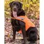 Tick Repelling Safety Dog Vest Tick Repelling Safety Dog Vest