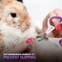 Poodle Pet Cat Nail Trimmer Clipper Scissors for Cats, Kittens, Dogs, Puppies, Rabbits & Small Animals – Slip-Proof, Stainless Steel, – Professional Grooming Supplies
