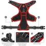 PHOEPET 2019 Upgraded No Pull Dog Harness, Unique Colors Reflective Adjustable Vest, with a Training Handle + 2 Metal Leash Hooks+ 3 Snap Buckles +4 Slide Buckles [Easy to Put on & Take Off]