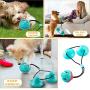 FANZ Pet Molar Bite Toy, Dog Chew Toys for Aggressive Chewers, Dog Rope Toys with Suction Cup for Teeth Cleaning