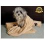 Ultra-Absorbent Pet Bath Towel for Small, Medium, Large Dogs and Cats, Machine Washable 44'' x 28'' Inch.