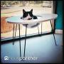 Primetime Petz Hauspanther Nestegg - Raised Cat Bed & Side Table