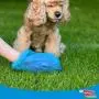 Four Paws Wee-Wee Outdoor Heavy Duty Dog Waste Bags Refill Rolls 90 Count 15'' x 8''