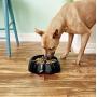 Dogit Go Slow Anti-Gulping Dog Dish, Slow Feeding Dog Bowl Suitable for Wet or Dry Food