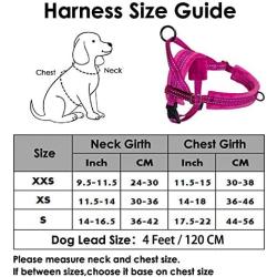 AutoWT No Pull Dog Harness Leash, Soft Flannel Padded Walking Dog Harness with 2 Leash Clips Front Lead Reflective Adjustable Puppy Vest Harness Anti-Twist 4FT Pet Lead Quick Fit for Small Dogs Cat An