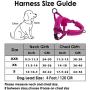 AutoWT No Pull Dog Harness Leash, Soft Flannel Padded Walking Dog Harness with 2 Leash Clips Front Lead Reflective Adjustable Puppy Vest Harness Anti-Twist 4FT Pet Lead Quick Fit for Small Dogs Cat An