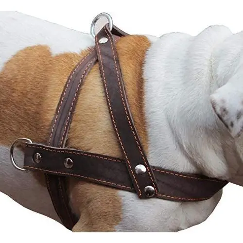 Brown Leather Dog Pulling Walking Harness Large. 31''-35'' Chest, 1.5'' Wide Straps Brown Leather Dog Pulling Walking Harness Large. 31''-35'' Chest, 1.5'' Wide Straps