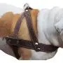 Brown Leather Dog Pulling Walking Harness Large. 31''-35'' Chest, 1.5'' Wide Straps Brown Leather Dog Pulling Walking Harness Large. 31''-35'' Chest, 1.5'' Wide Straps