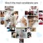 Pet Feeding Bottle Can Squeeze Liquid Feeding Kit and Replacement Mini Nipples for Kitten Puppy Small Animals Feeding Tool