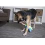 goDog Amphibianz with Chew Guard Technology Durable Plush Dog Toys with Squeakers