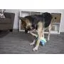 goDog Amphibianz with Chew Guard Technology Durable Plush Dog Toys with Squeakers goDog Amphibianz with Chew Guard Technology Durable Plush Dog Toys with Squeakers