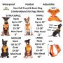 Dexil Limited NO Dogs (Not Good with Other Dogs) Orange Color Coded Non-Pull Front and Back D Ring Padded and Waterproof Vest Dog Harness Prevents Accidents by Warning Others of Your Dog in Advance