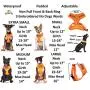 Dexil Limited NO Dogs (Not Good with Other Dogs) Orange Color Coded Non-Pull Front and Back D Ring Padded and Waterproof Vest Dog Harness Prevents Accidents by Warning Others of Your Dog in Advance Dexil Limited NO Dogs (Not Good with Other Dogs) Orange Color Coded Non-Pull Front and Back D Ring Padded and Waterproof Vest Dog Harness Prevents Accidents by Warning Others of Your Dog in Advance
