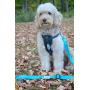 DEXDOG Chest Plate Harness Auto Car Safety Harness | Adjustable Straps, Reflective, Padded for Comfort | Best Dog Harness Small Large Dogs