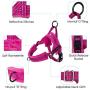 AutoWT No Pull Dog Harness Leash, Soft Flannel Padded Walking Dog Harness with 2 Leash Clips Front Lead Reflective Adjustable Puppy Vest Harness Anti-Twist 4FT Pet Lead Quick Fit for Small Dogs Cat An