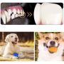 CHZHENG Dog Toothbrush, Chicken Leg Molars Pet Care Tooth Cleaning Toothbrush, Food Grade Dogs Toy for Small/Medium/Large Dogs