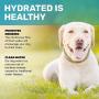 Dog Fountain Water Fountain Dog Sprinkler Step On Dog Sprinkler Toy for Big and Small Dogs For Drinking and Pets Playing And Happiness