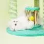 ZEZE Paradise Park CAT SCRATCHEING Tree(Tree Stand/Towers/Indoor Toys/Scratcher/Furniture/Activity Center) Gifts for Your Loving Pets/Halloween/Thanksgiving/Christmas ZEZE Paradise Park CAT SCRATCHEING Tree(Tree Stand/Towers/Indoor Toys/Scratcher/Furniture/Activity Center) Gifts for Your Loving Pets/Halloween/Thanksgiving/Christmas