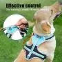 Petties&Sweeties No Pull Dog Harness,2 Leash Hooks,Reflective Adjustable Soft Padded Vest Unique Colors, with a Easy Control Training Handle, with Poop Bags Petties&Sweeties No Pull Dog Harness,2 Leash Hooks,Reflective Adjustable Soft Padded Vest Unique Colors, with a Easy Control Training Handle, with Poop Bags