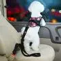 2.6 ft Pet Dog Car Seat Belt, Reflective Heavy Back Seat Belt or Bond Tether for Large / Medium Pets, Cat,Dogs, Pet Supplies, Safe and Adjustable, Easily Attached Belts in Any Car or Vehicle - Black 2.6 ft Pet Dog Car Seat Belt, Reflective Heavy Back Seat Belt or Bond Tether for Large / Medium Pets, Cat,Dogs, Pet Supplies, Safe and Adjustable, Easily Attached Belts in Any Car or Vehicle - Black