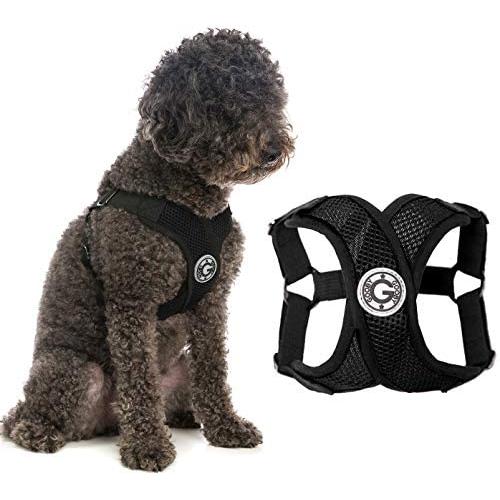 Gooby Dog Harness - Comfort X Step-in Small Dog Harness with Patented Choke-Free X Frame - Perfect on The Go No Pull Harness for Small Dogs or Cat Harness