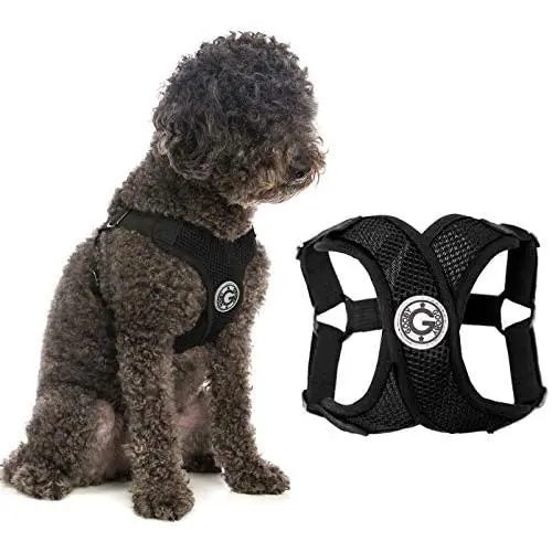 Gooby Dog Harness - Comfort X Step-in Small Dog Harness with Patented Choke-Free X Frame - Perfect on The Go No Pull Harness for Small Dogs or Cat Harness Gooby Dog Harness - Comfort X Step-in Small Dog Harness with Patented Choke-Free X Frame - Perfect on The Go No Pull Harness for Small Dogs or Cat Harness