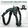 rabbitgoo Dog Harness, Adjustable Dog Walking Harness with Handle and Shock-Absorbing Bungee Straps, Reflective Dog Vest Harness No Choke, Halter Harness with Padded Strap for Medium Dogs, M