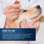 Vets Preferred Oatmeal Dog Shampoo for Dogs - 5 in 1 Pet Shampoo for Dogs & Puppy Shampoo for Dogs Over 12 Weeks, Hypoallergenic Dog Shampoo with Coconut, Oatmeal, & Aloe (16oz) - 2-Pack
