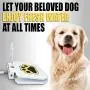 Dog Outdoor Dog Drinking Water Fountain Step On, Easy Paw Activated Drinking Pet Dispenser, Fresh Water, Sturdy, Easy to Use by Trio Gato Dog Outdoor Dog Drinking Water Fountain Step On, Easy Paw Activated Drinking Pet Dispenser, Fresh Water, Sturdy, Easy to Use by Trio Gato
