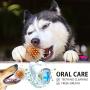 Spike Ball with Tennis Dog Toy, Medium 3.8'', TPR Throw Interactive Play Cleans Teeth for Medium Larger Pet (2 Balls)