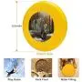 Pet Frisbee Flying Disc Dog Toy - Multifunction A General Before His King Tim Davis Pet Frisbee Flying Disc Dog Toy - Multifunction A General Before His King Tim Davis