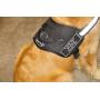 Dean & Tyler DT Works Harness with Please Give Me Space Do Not Pet Velcro Patches, Reflective Trim
