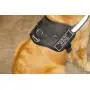 Dean & Tyler DT Works Harness with Please Give Me Space Do Not Pet Velcro Patches, Reflective Trim Dean & Tyler DT Works Harness with Please Give Me Space Do Not Pet Velcro Patches, Reflective Trim