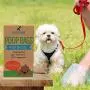 Innovet Pet Products INNOVETPET Eco Friendly Dog Poop Bags - Biodegradable Poop Bags for Pets. Unscented, Extra Strong, Thick & Guaranteed Leak-Proof Poop Bags for Dogs & Cats. 2 & 4 Months Supply Innovet Pet Products INNOVETPET Eco Friendly Dog Poop Bags - Biodegradable Poop Bags for Pets. Unscented, Extra Strong, Thick & Guaranteed Leak-Proof Poop Bags for Dogs & Cats. 2 & 4 Months Supply