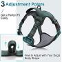 rabbitgoo Dog Harness, No Pull Dog Vest Harness with Shock-Absorbing Bungee Straps, Adjustable Dog Walking Harness with Easy Control Handle, Reflective Pet Vest Harness for Large Medium Dogs