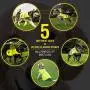 4LegsFriend Dog Safety Yellow Reflective Vest with Leash Hole 5 Sizes - High Visibility for Outdoor Activity Day and Night, Keep Your Dog Visible, Safe from Cars & Hunting Accidents 4LegsFriend Dog Safety Yellow Reflective Vest with Leash Hole 5 Sizes - High Visibility for Outdoor Activity Day and Night, Keep Your Dog Visible, Safe from Cars & Hunting Accidents