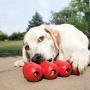 KONG - Extreme Goodie Ribbon - Durable Rubber Stuffable Dog Toy - for Small Dogs