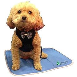 TheGreenPetShop Dog Cooling Mat – Gel Self Cooling Mat for Dogs – The Must-Have Cool Pet Pad for Hot Summer Weather – Patented Pressure Activated Pet Cooling Pad, No Water or Electricity Needed