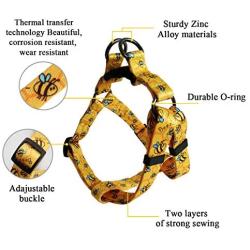 QQPETS Dog Harness Leash Set,Adjustable Vest Durable Heavy Duty Puppy Small Medium Large Dogs Perfect for Walking Running Training